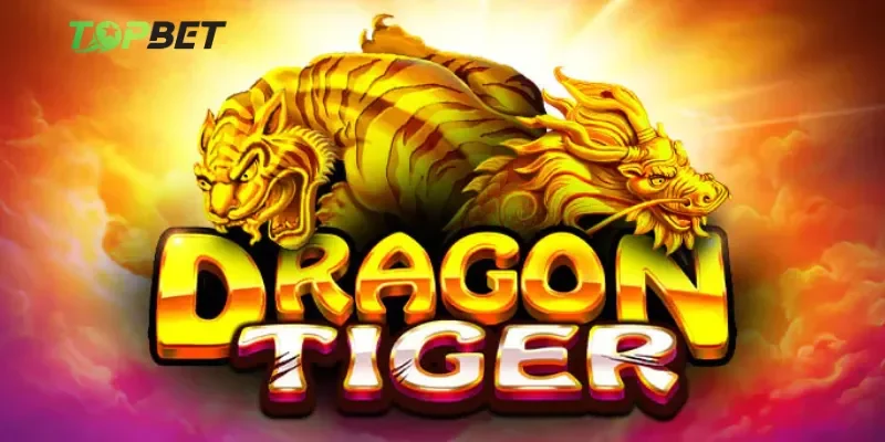 Tại sao soi cầu rồng hổ lại quan trọng đến vậy?